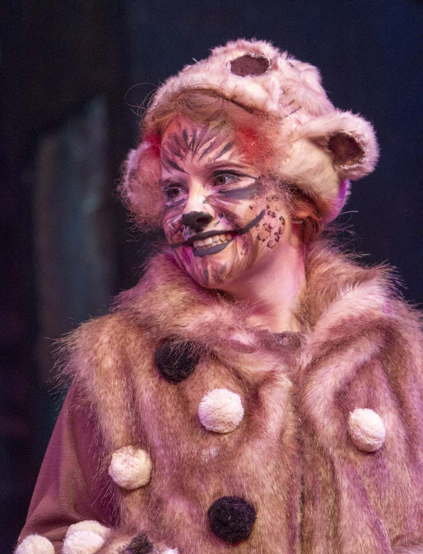 Drama - CATS